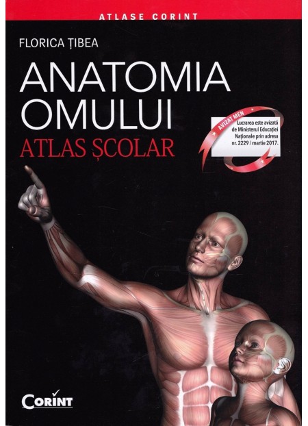Anatomia omului - Atlas Scolar