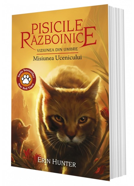 Pisicile Razboinice. Cartea a XXXI-a. Viziunea din umbre: Misiunea Ucenicului (volumul 31)