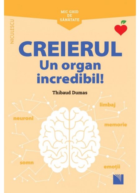 Mic ghid de sănătate: Creierul. Un organ incredibil!